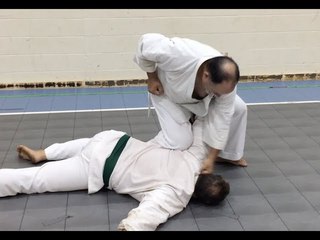 Kojo-Ryu Tenkan Ken Kata Bunkai