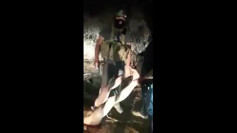 VID-20180901-WA0012.mp4