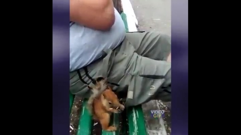Деревенские посиделки ☺