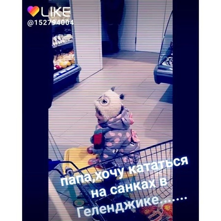 Alexandr.kazmin video