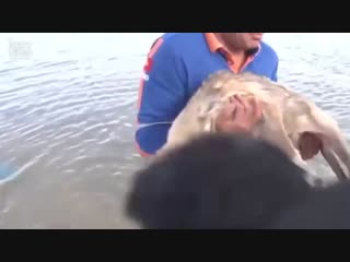 Здоровья обоим