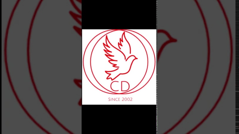 Cece Danışmanlık Sunum