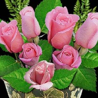 Вероника Лазарева | Сочи