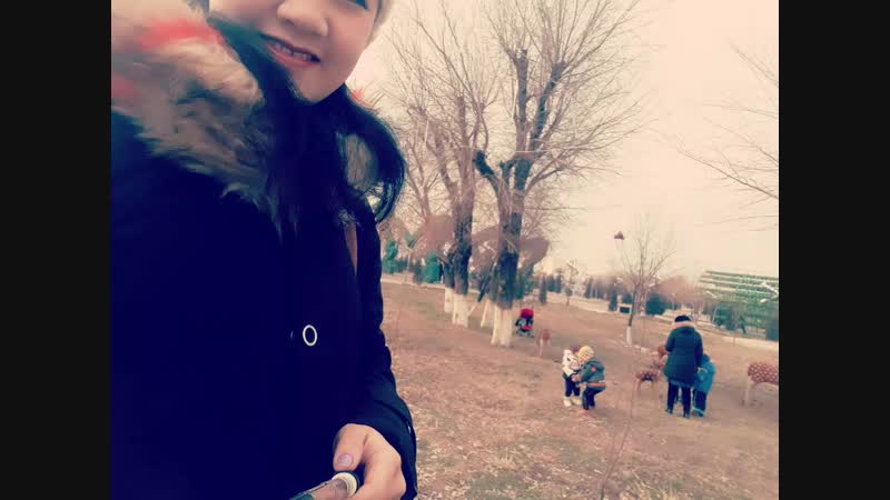 2019-01-03-12-43-43-633.mp4