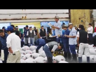 Мечты Дзиро о суши ( документальный фильм )