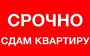 Объявление от Ника - фото №1