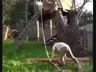 Когда делаешь сам не знаешь что