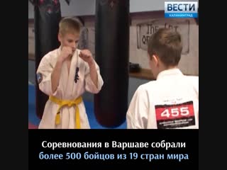 Калининградские спортсмены взяли золото и серебро Кубка Европы по карате среди юниоров