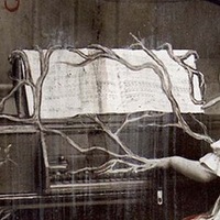 Мария Храмцова | 