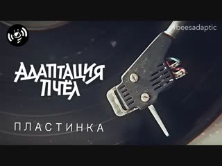 Пластинка :: Адаптация Пчёл :: Александр Буслов