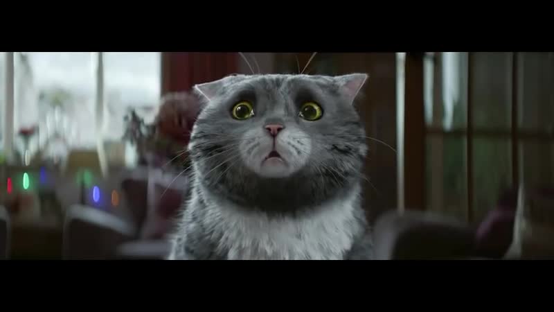 Mogs Christmas calamity