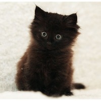 Александр Колупаев | Киров