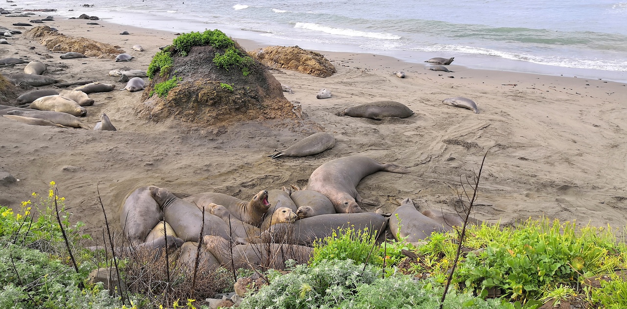 Ударим автопробегом по дикому западу! USA 2019 7-25 марта.