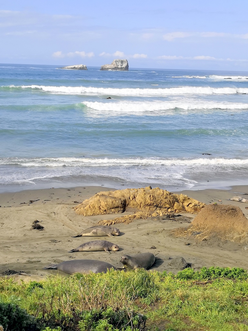 Ударим автопробегом по дикому западу! USA 2019 7-25 марта.