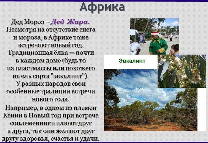 Волшебники Новый Год Текст