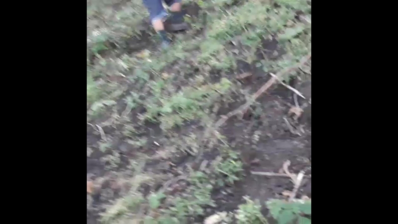 VID_33110623_061341_298.mp4