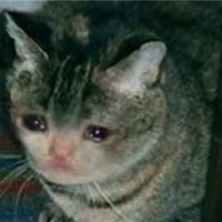 Мария Зиновьева | Курск