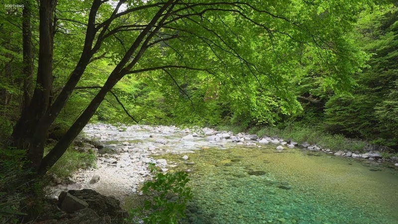 Nature.rampage