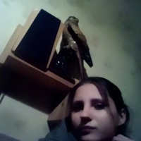 Юлия Щетинина | Новосиль