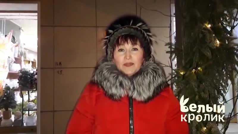 Новогоднее поздравление
