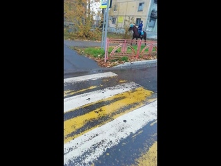 Выгуливает лошадь)