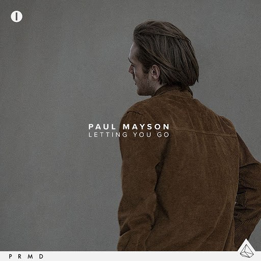 Paul Mayson альбом Letting You Go