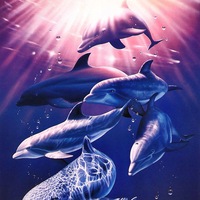 Оксана Потапова | Узловая