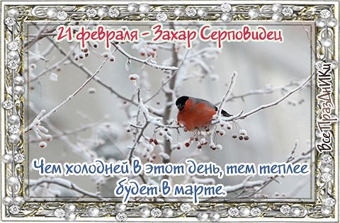 21 февраля Захар Серповидец Дата по старому стилю: 8 февраля Народный праздник получил свое название в честь святого Захария. Известно, что он содействовал нравственному развитию еврейского