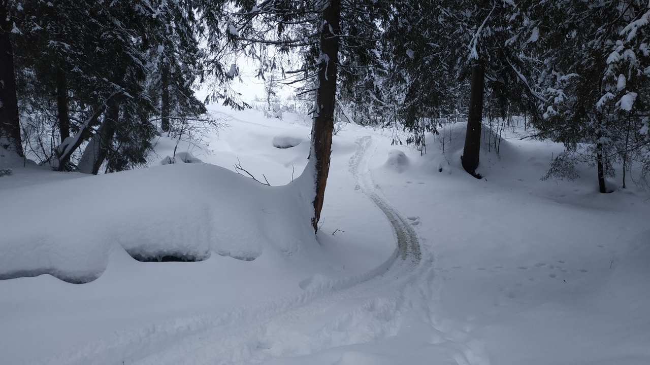 https://pp.userapi.com/c846220/v846220138/192f3c/g0nKmPR7J0c.jpg