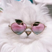 Ксения Закоцкая