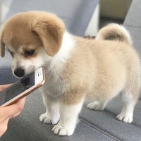 Анастасия Ушакова | Шумиха