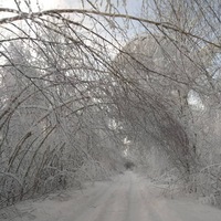 Анна Решетникова | 