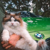 Дмитрий Лиханов | 