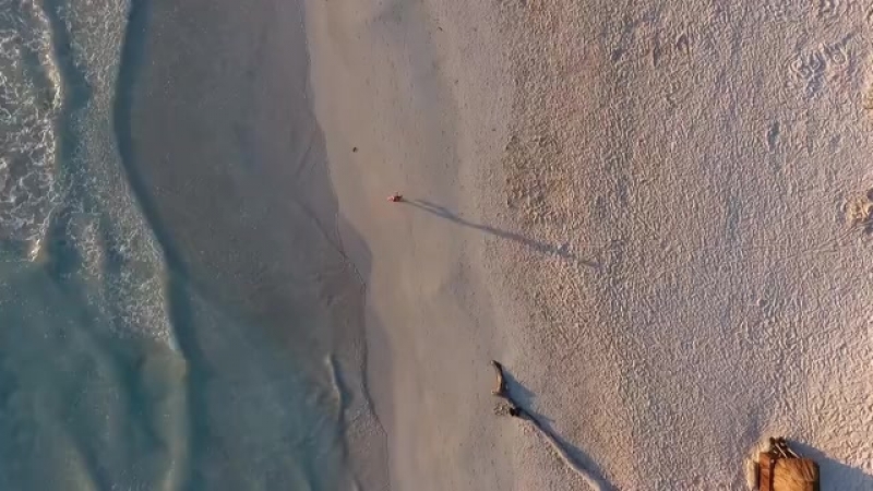 Runner - 10809.mp4
