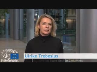 Der UN-Migrationspakt und das Grundgesetz