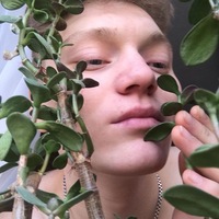 Леопольд Стотч | 