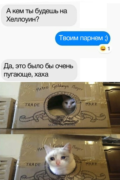 смешные картинки