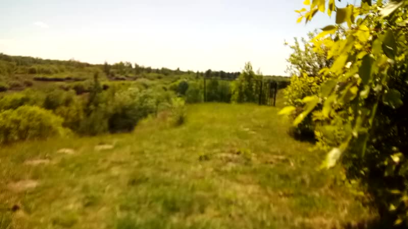 Пойма Ветлуги