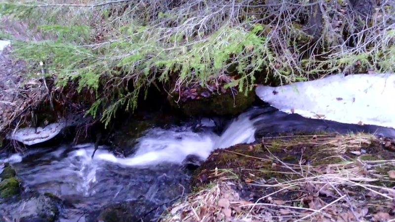 VID_20140519_205104