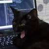 Shattered Sky DEV / Отправка анонимного сообщения ВКонтакте