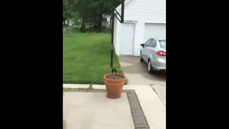 Таша