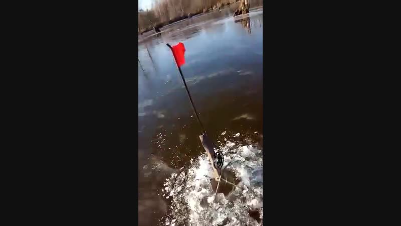 Перволедок на Ветлуге