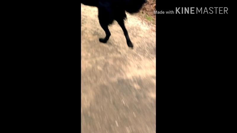1080_30_29.mp4