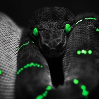 Илья Симонов |