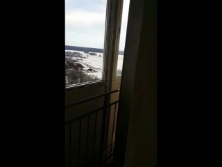 ЖК Самолёт замена остекления в студии от Отрада Окна