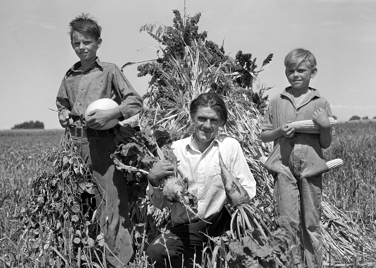 А мы собрали урожай: Какие мы красавцы (1939 год)