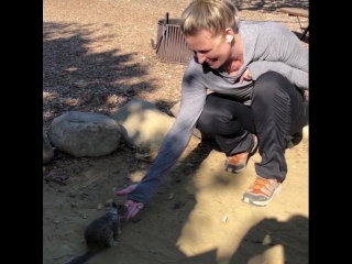 Sam Smith on Instagram_ “California squirrels are so particular. #glamping #Sant