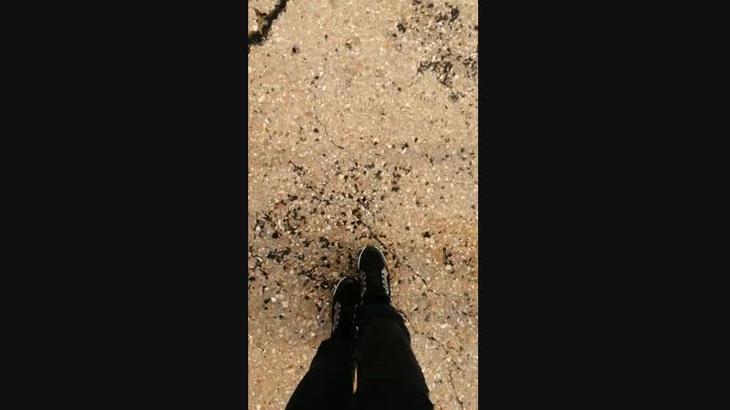 VID_20181116_120812.mp4