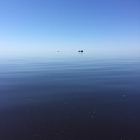 Александр Васильев