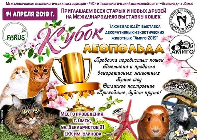 Афиша Омск Международная выставка кошек "Кубок Леопольда"